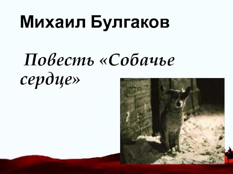 Презентация по литературе на тему М.А. Булгаков. Собачье сердце (9 класс)