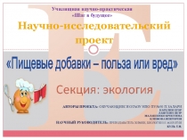 Проектная деятельность обучающихся