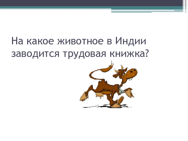 1993 какого животного. 2008г какого животного. 1993 Какого животного какого. 1930 Какого животного.