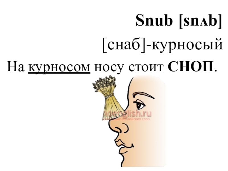 У тебя у курносой маршрут один. Курносый значение слова. Курносый нос стих. Курносый нос перевод на англ. Курносый нос антоним.