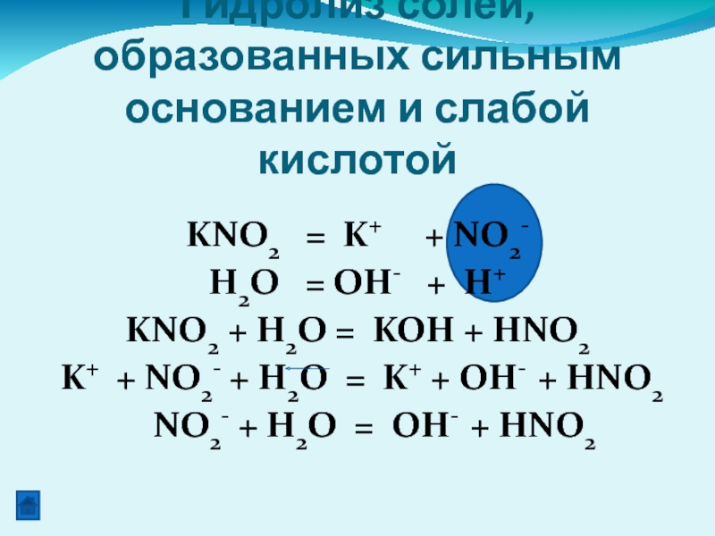 KNO2  = K+   + NO2- H2O  = OH-  + H+KNO2 + H2O