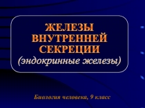 Презентация к уроку Железы внутренней секреции (эндокринные железы), 9класс.