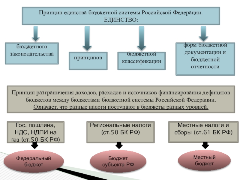 Реферат: Государственная бюджетная система Российской Федерации