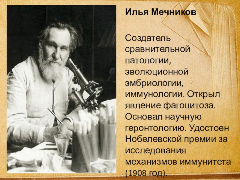 мечников цитаты. высказывания великих ученых. мечников цитаты. мечников нобелевский лауреат. мечников цитаты.