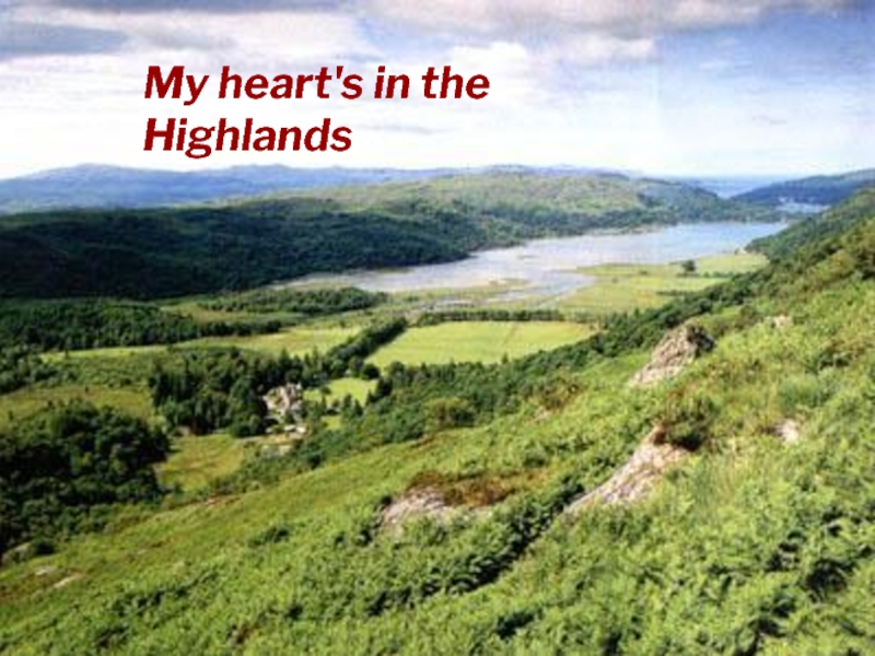 Burns my heart's in the highlands