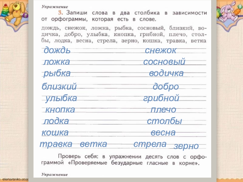 Упражнение 3 запиши. Записать слова. Запиши слова. Запиши слова в два столбика в зависимости от орфограммы. Запиши слова в 2 столбика в зависимости от орфограммы.