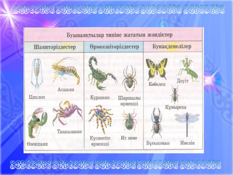 Жәндіктер тех карта балабақшада