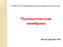 Презентация по биологии на тему Плазматическая мембрана
