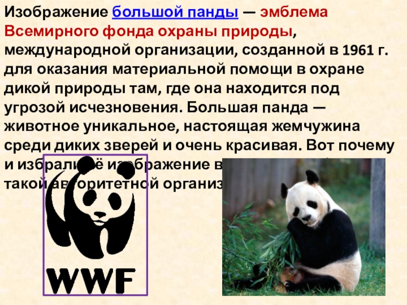 Wwf всемирный фонд дикой природы презентация