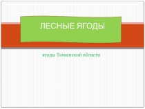 Лесные ягоды Тюменской области