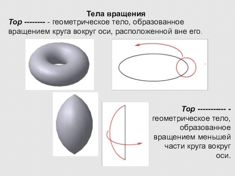 Тор фигура в геометрии фото