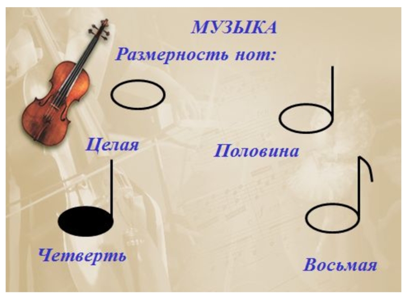 Половина четверти. Целая половина четверть Ноты. Размерность нот. Целая половина четверть восьмая. Размеры нот.