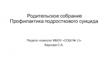 Презентация Профилактика подросткового суицида