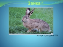 Проект в первой младшей группе Зайка