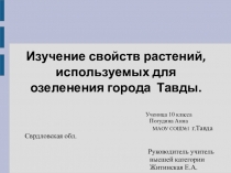 Презентация по биологии Изучение свойств растений, используемых для озеленения города Тавды