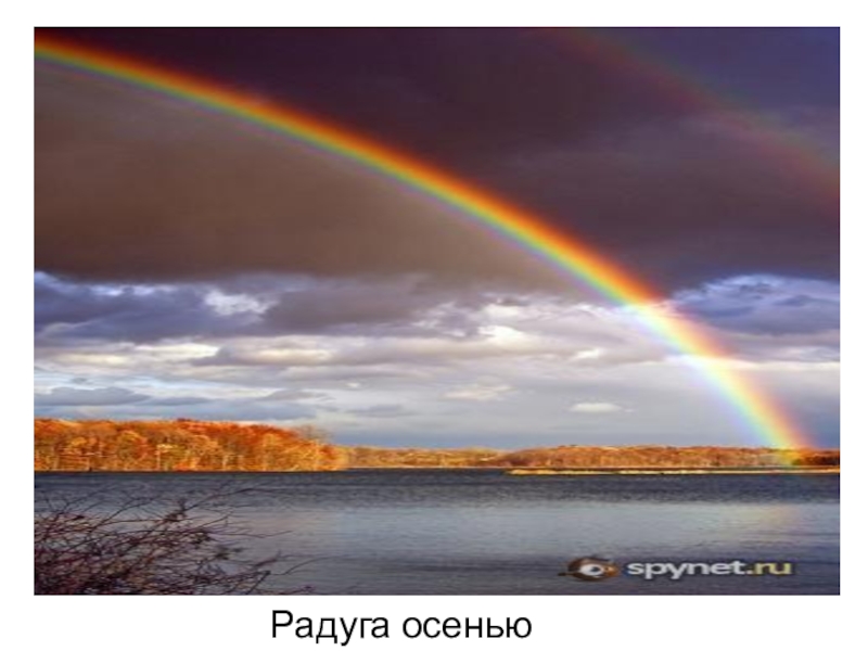 Осенняя радуга 53