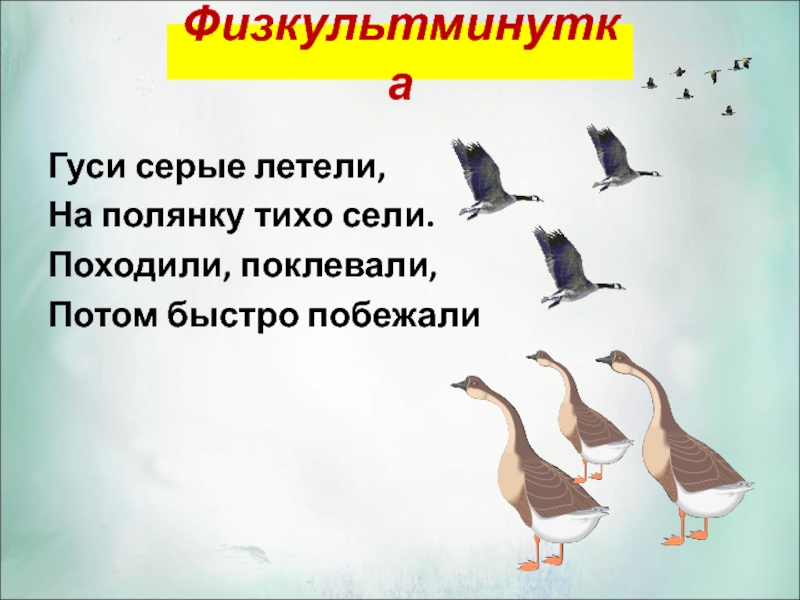 Летели серые гуси нароняли белого пуха