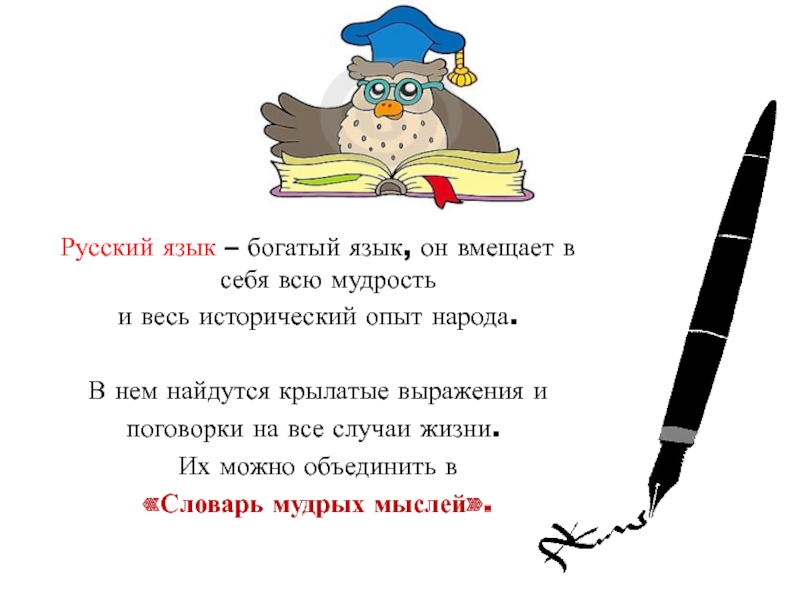 Сочинение на тему богатство языка. Богатство русского языка. Богатый русский язык. Чем богат русский язык. Богатство русского языка картинки.