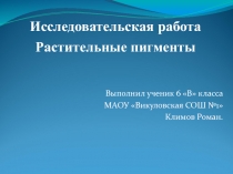 Презентация по биологии на тему Растительный пигмент