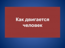 Презентация по окружающему миру 4 класс