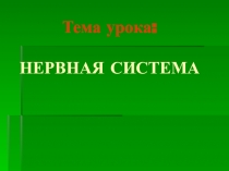 ;Нервная Система Человека;Эта призентация включает в себя очень много всего о неврной системе человека