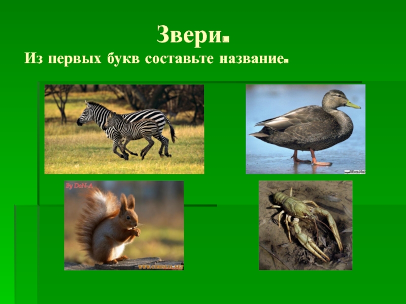 Класс звери. Виды животных 1 класс. Животные из трёх букв. Звери из 3 букв. Животное из 3 букв.