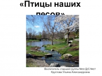 ПРЕЗЕНТАЦИЯ Птицы наших лесов