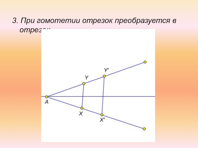 Гомотетия