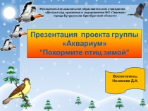 Презентация проекта Покормите птиц зимой!