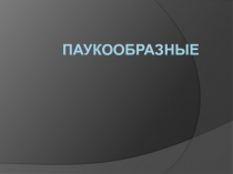 Презентация по теме Паукообразные