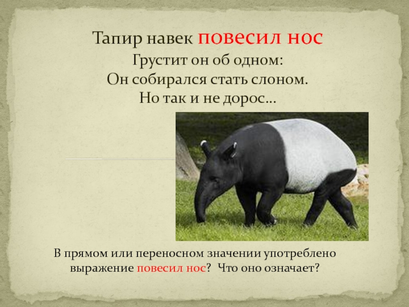 Тапир гибрид гербицид