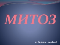 Презентация по биологии на тему Митоз
