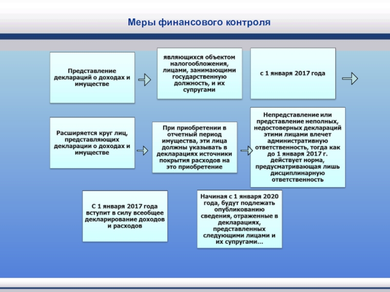 Субъекты государственного контроля. Меры финансового контроля. Меры финансового мониторинга. Финансовый контроль противодействия коррупции. Задачи финансового контроля.