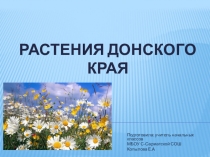 Презентация по окружающему миру на тему Разнообразие растений родного края (3 класс)