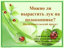 Исследовательский проект Можно ли вырастить лук на подоконнике?