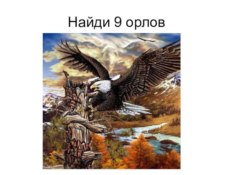 Девять орлов. 9 Орлов. Слово Орел. 9 Орлов картинка. Картины экономики орла.