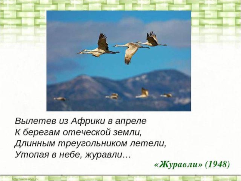 Анализ стихотворения заболоцкого журавли по плану