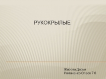 Рукокрылые.