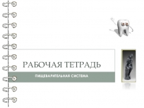 Презентация по биологии - Рабочая тетрадь  Тема- Пищеварительная система