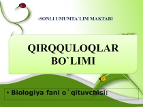 Презентация по биологии на тему кирккулоклар (5 класс на узбекском языке)