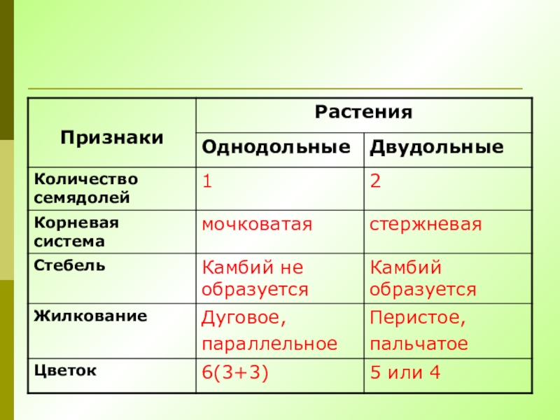 Классификация растений презентация 6 класс пасечник