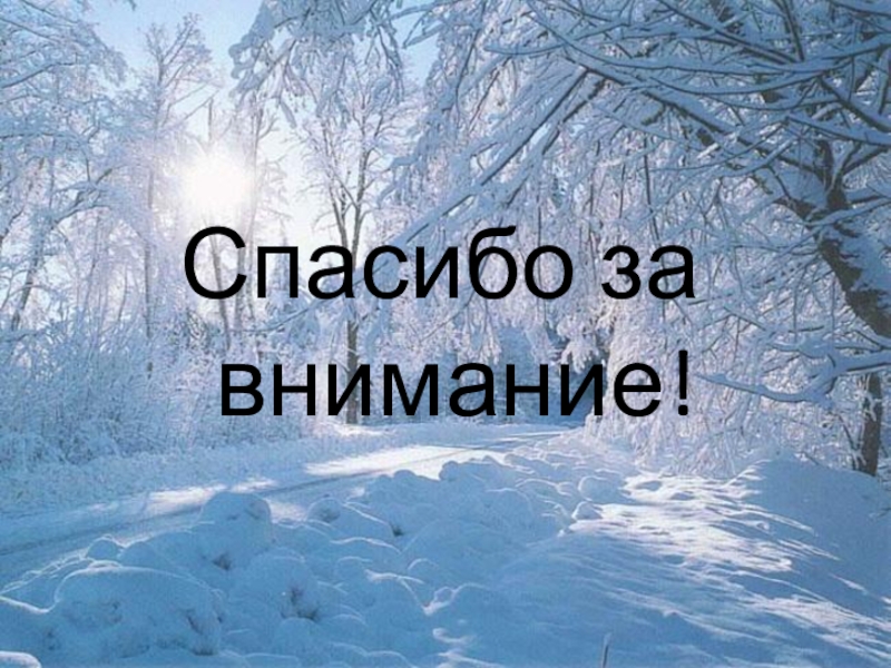 Люблю природу русскую зима 2. Спасибо за внимание зимнее. Спасибо за внимание с зимой. Проект на тему зима. Спасибо за внимание снег.