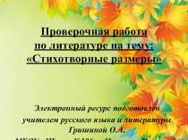 Проверочная работа по литературе на тему: Стихотворные размеры