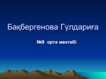 Презентация по английскому языку на тему Have you been to Central Asia (9 класс)