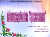 Лабораторная работа на тему: Строение тюльпана