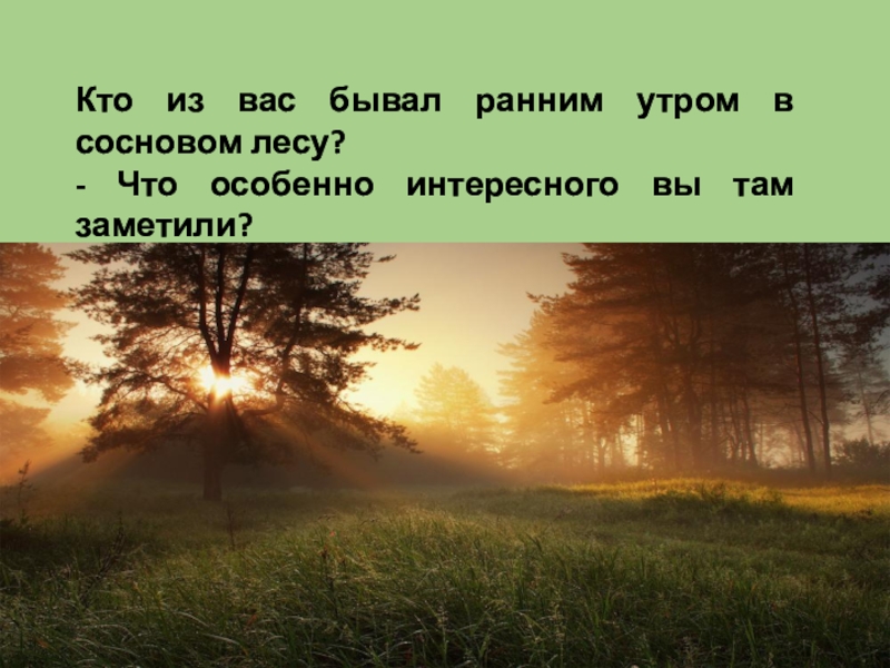 Утро в лесу картина сочинение. Стих раннее утро. Короткий стих про утренний лес. Предложение на тему раннее утро. Рассказ раннее утро.