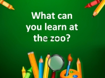 Что мы можем узнать в зоопарке?