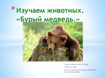 Презентация Бурый медведь - житель тайги