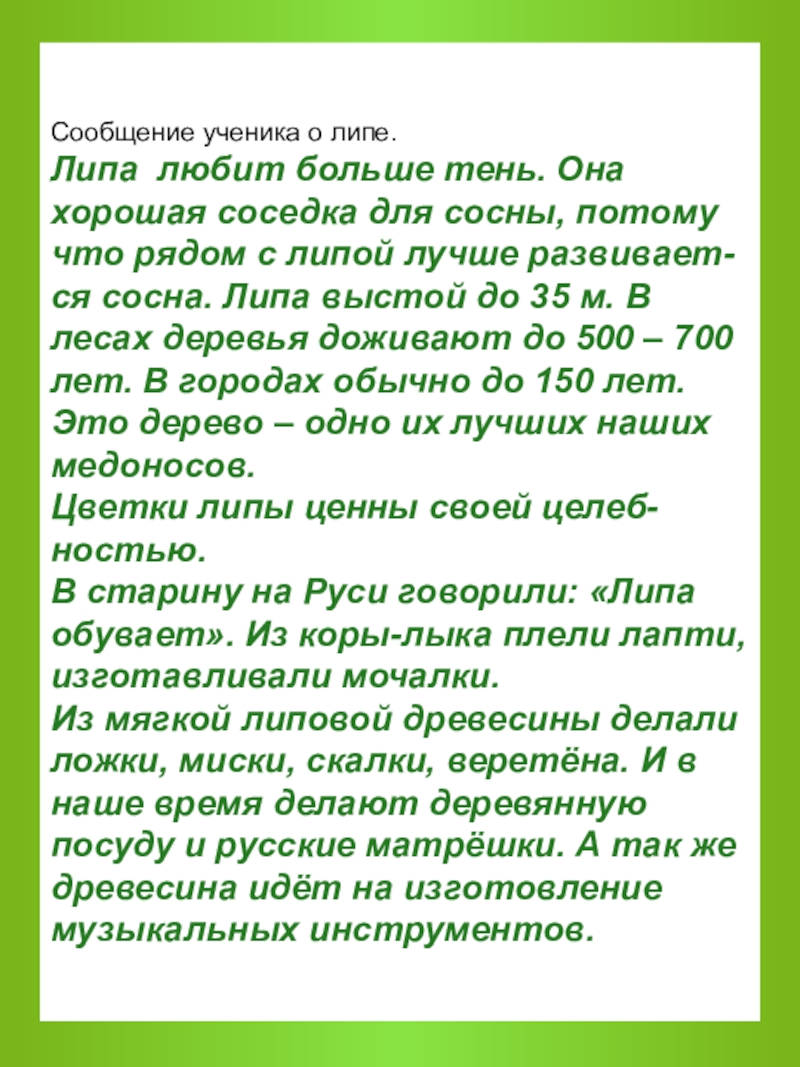 Сообщение школьника. Сообщение о Липе 3 класс окружающий мир. Сообщение о дереве липа. Липа доклад. Краткое сообщение о Липе.