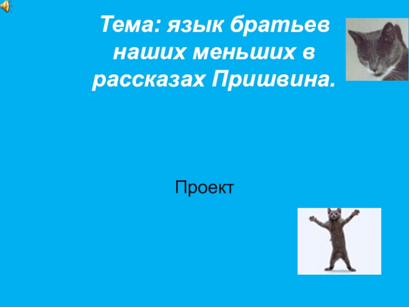 братцы язык